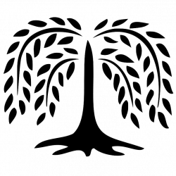 Picture library library willow tree - RR collections