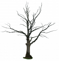 Top Primitive Willow Tree Clip Art Library » Free Vector Art, Images ...