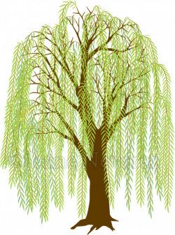 Art by Jeane Nevarez: willow tree | Willow Ideas | Pinterest ...