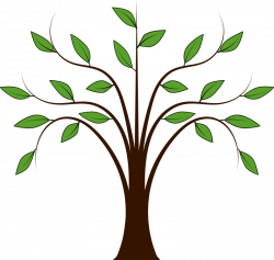 Free Willow Leaf Cliparts, Download Free Clip Art, Free Clip Art on ...