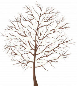 Free Winter Trees Cliparts, Download Free Clip Art, Free Clip Art on ...