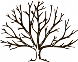 Free Winter Trees Cliparts, Download Free Clip Art, Free Clip Art on ...