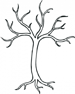 Tree Drawings Clipart