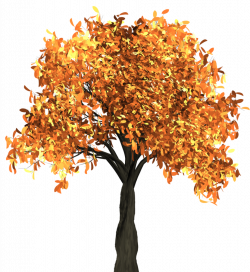 Autumn Tree PNG Image - PurePNG | Free transparent CC0 PNG ...