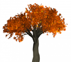 Autumn Tree PNG Transparent Image - PngPix