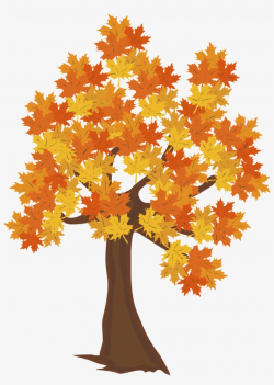 Fall Tree Png Image - Drawing Of Autumn Tree - Free ...