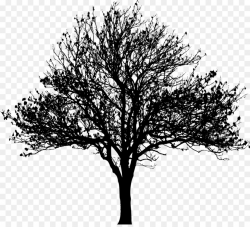 Free Tree Silhouette Transparent Background, Download Free ...