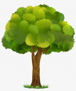 Tree Clipart Transparent Background 5 Of - Transparent ...