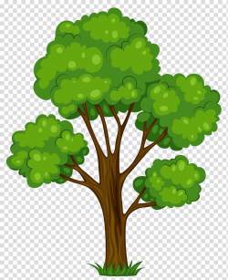 Tree Cartoon , Tree transparent background PNG clipart ...
