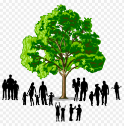 family tree logo PNG image with transparent background | TOPpng