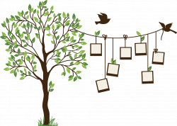 Family Tree PNG Images Transparent Free Download | PNGMart.com