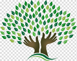 Tree , family tree transparent background PNG clipart ...