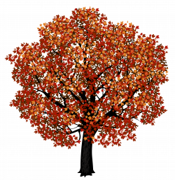 Red Maple Tree PNG Clipart Picture | Gallery Yopriceville ...