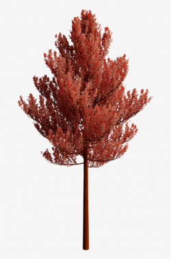 Nature Tree Transparent Background - Maple Tree Transparent ...