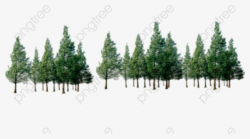 The Forest PNG Images, Transparent The Forest Image Download ...