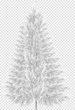 Triangle row snow tree transparent background PNG clipart ...
