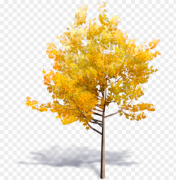 eneric autumn tree - yellow tree PNG image with transparent ...