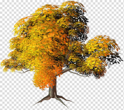 Autumn Tree , Large Yellow Fall Tree , yellow and orange ...