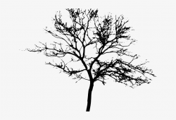 Drawn Dead Tree Transparent Background - Tree Silhouette ...