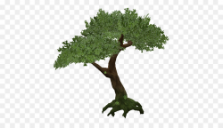 Tree Clip art - Large Green Tree Transparent PNG Clipart ...