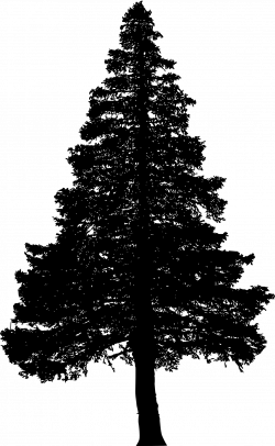 10 Pine Tree Silhouette (PNG Transparent) | OnlyGFX.com