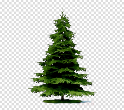 Christmas Black And White clipart - Pine, Tree, Green ...