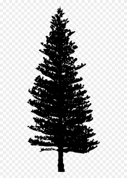 Free Png Pine Tree Silhouette Png - Pine Tree Silhouette Png ...
