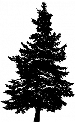 10 Pine Tree Silhouette (PNG Transparent) Vol. 3 | OnlyGFX.com