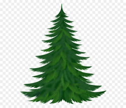 Pine Tree Clip art - Transparent Pine Tree PNG Picture png ...