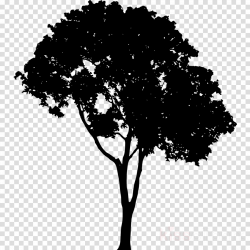 Tree Branch Silhouette clipart - Silhouette, Tree ...
