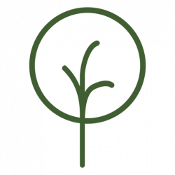 Simple tree icon - Transparent PNG & SVG vector