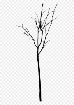 Free Png Simple Bare Tree Silhouette Png Images Transparent ...