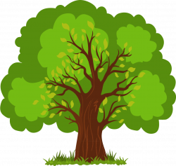 Euclidean vector Tree - Vector Hand-painted lush tree png ...