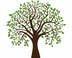 Tree Desktop Wallpaper Deciduous Clip art - maternal vector ...