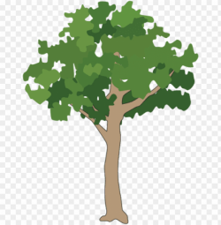 free icons png - rainforest tree vector PNG image with ...
