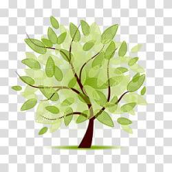 Vector Tree transparent background PNG cliparts free ...
