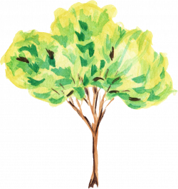 12 Watercolor Tree (PNG Transparent) | OnlyGFX.com