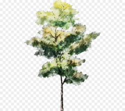 Watercolor Tree Png & Free Watercolor Tree.png Transparent ...