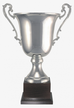 Trophy PNG, Transparent Trophy PNG Image Free Download - PNGkey