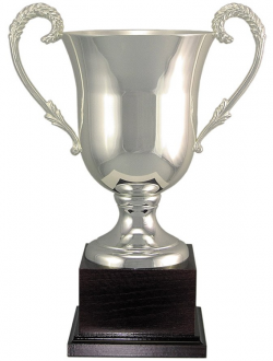 106 Series Silver Trophy Cup