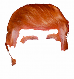 Donald Trump Hair Png Donald Trump Hair Png - Clip Art Library