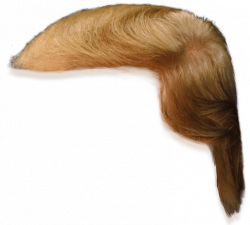 Donald Trump Hair Side View Png Clipart