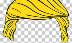176 trump Hair PNG cliparts for free download | UIHere