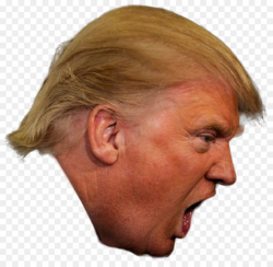 Donald Trump clipart - Face, Nose, Head, transparent clip art