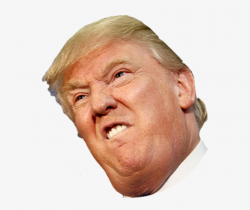 Angry Side Face Trump - Donald Trump Face Transparent ...