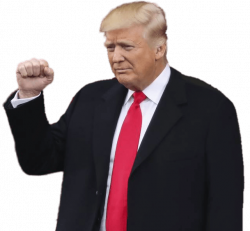 Donald Trump Inauguration transparent PNG - StickPNG