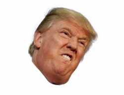 Free Donald Trump Transparent Background, Download Free Clip ...