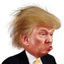 Donald Trump Clip art Portable Network Graphics Image Funny ...