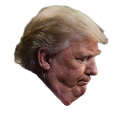 Donald Trump White House President of the United States ...