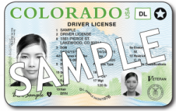 TSA joins with the Colorado Department of Motor Vehicles to ...
